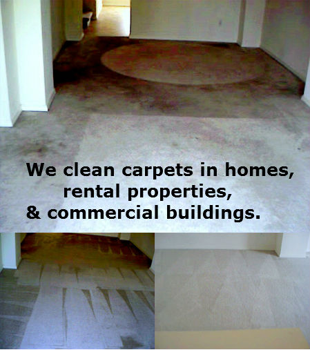 Carpet-cleaning-company-Bellevue-Seattle1