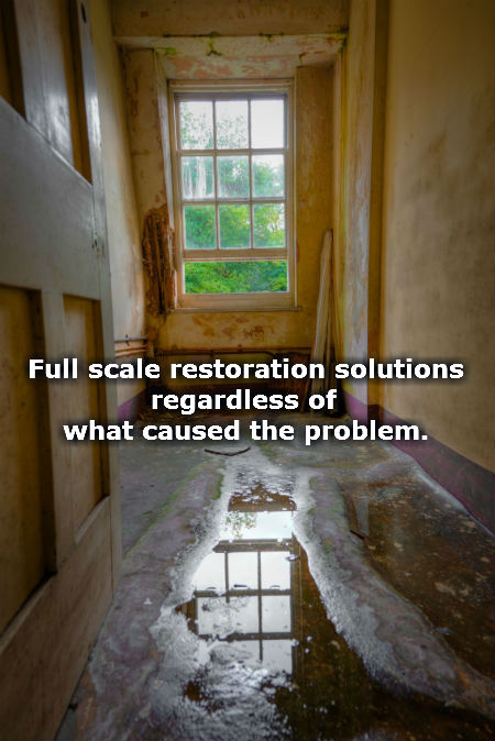 Water-Damage-Company-450a